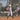 Wow Factor National Softball